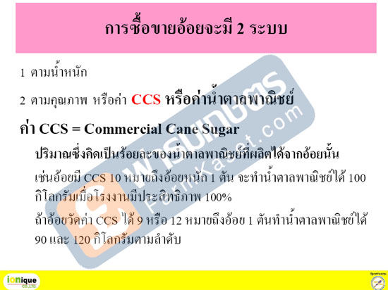 ระบบการซื้อขายอ้อย มี 2 ระบบ คือตามค่า CCS และตามน้ำหนัก ( CCS = Commercial Cane Sugar )