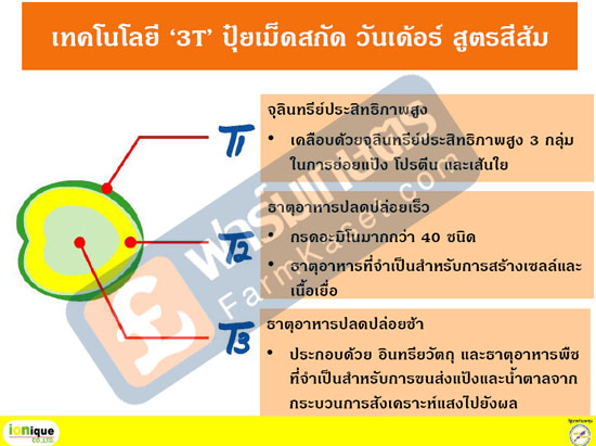 จุลินทรีย์ ธาตุอาหารปลดปล่อยเร็ว ธาตุอาหารปลดปล่อยช้า