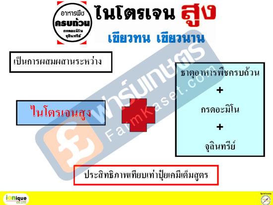 ธาตุอาหารพืชครบถ้วน