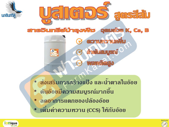 บูสเตอร์ สูตรสีส้ม เพิ่มความหวาน ลำต้นสมบูรณ์ เพิ่มผลผลิต