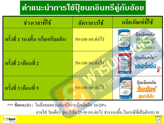 คำแนะนำการใช้ ปุ๋ย นกอินทรีย์คู่ กับอ้อย