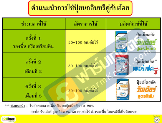 คำแนะนำการใช้ปุ๋ยของเรา คู่กับอ้อย