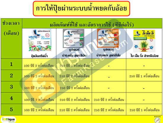 การใช้ปุ๋ยระบบน้ำหยด กับอ้อย