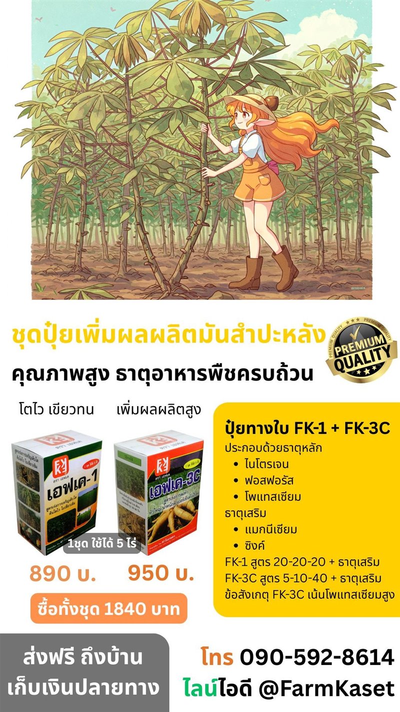 รูปภาพประกอบ