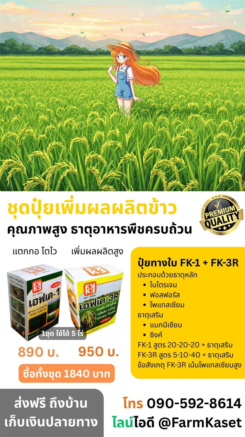 รูปภาพประกอบ
