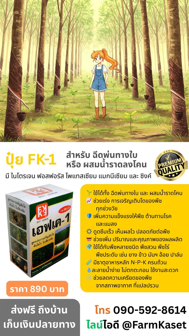 รูปภาพประกอบ