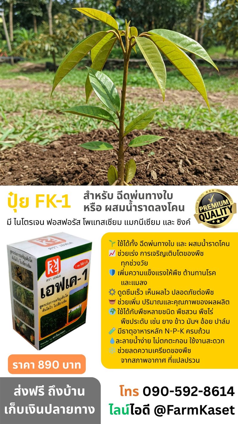 รูปภาพประกอบ