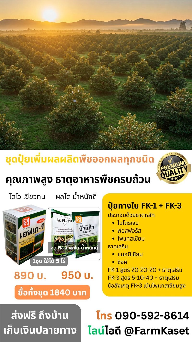 รูปภาพประกอบ