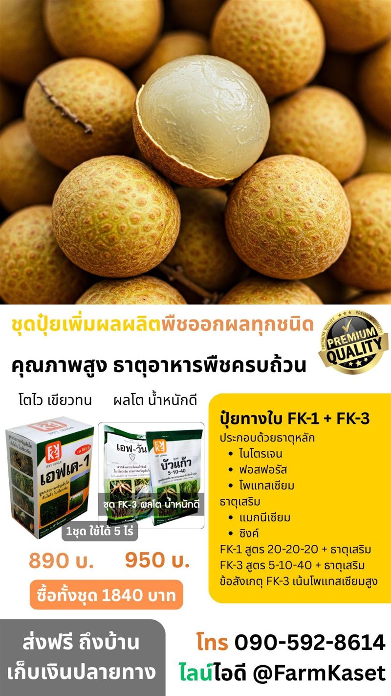 รูปภาพประกอบ