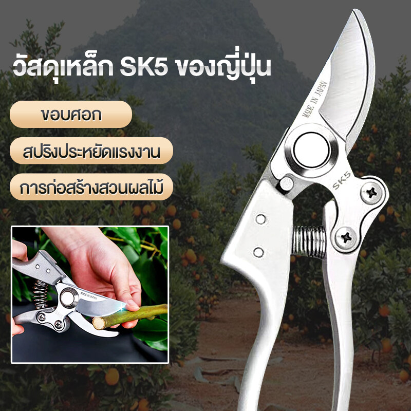รูปภาพประกอบ