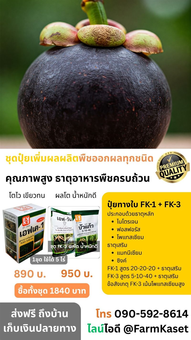 รูปภาพประกอบ