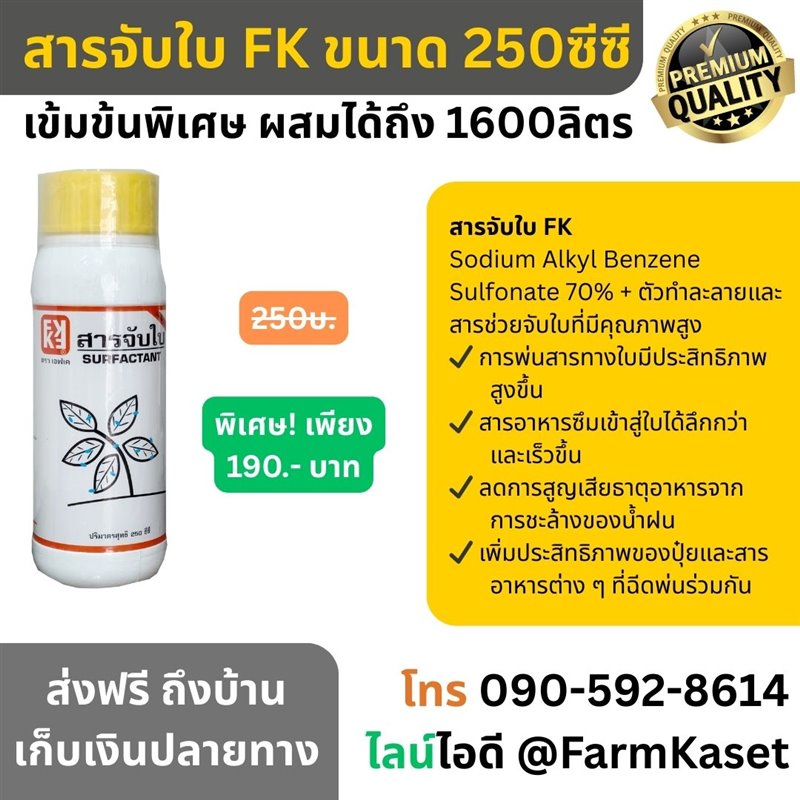 รูปภาพประกอบ