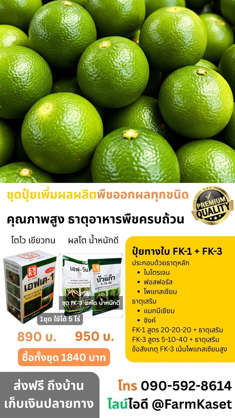 รูปภาพประกอบ