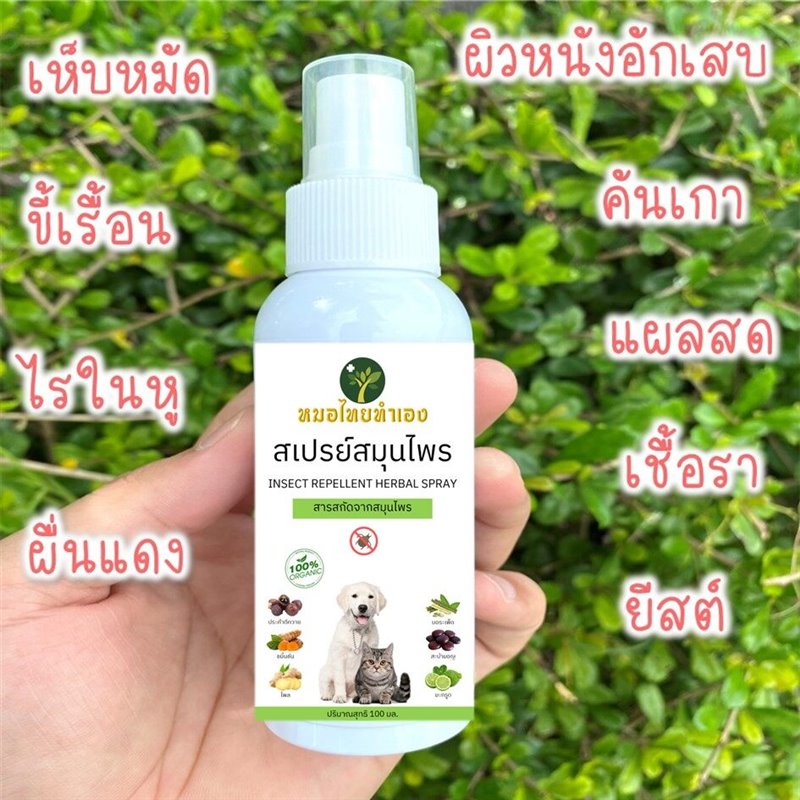 รูปภาพประกอบ