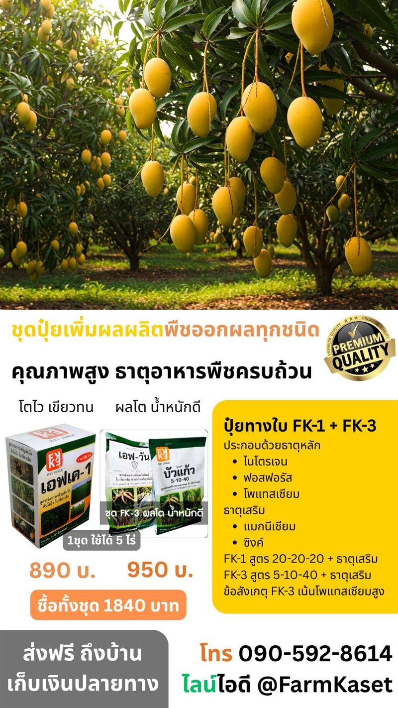 รูปภาพประกอบ