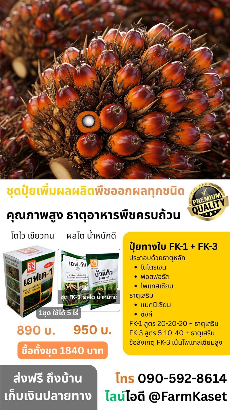 รูปภาพประกอบ