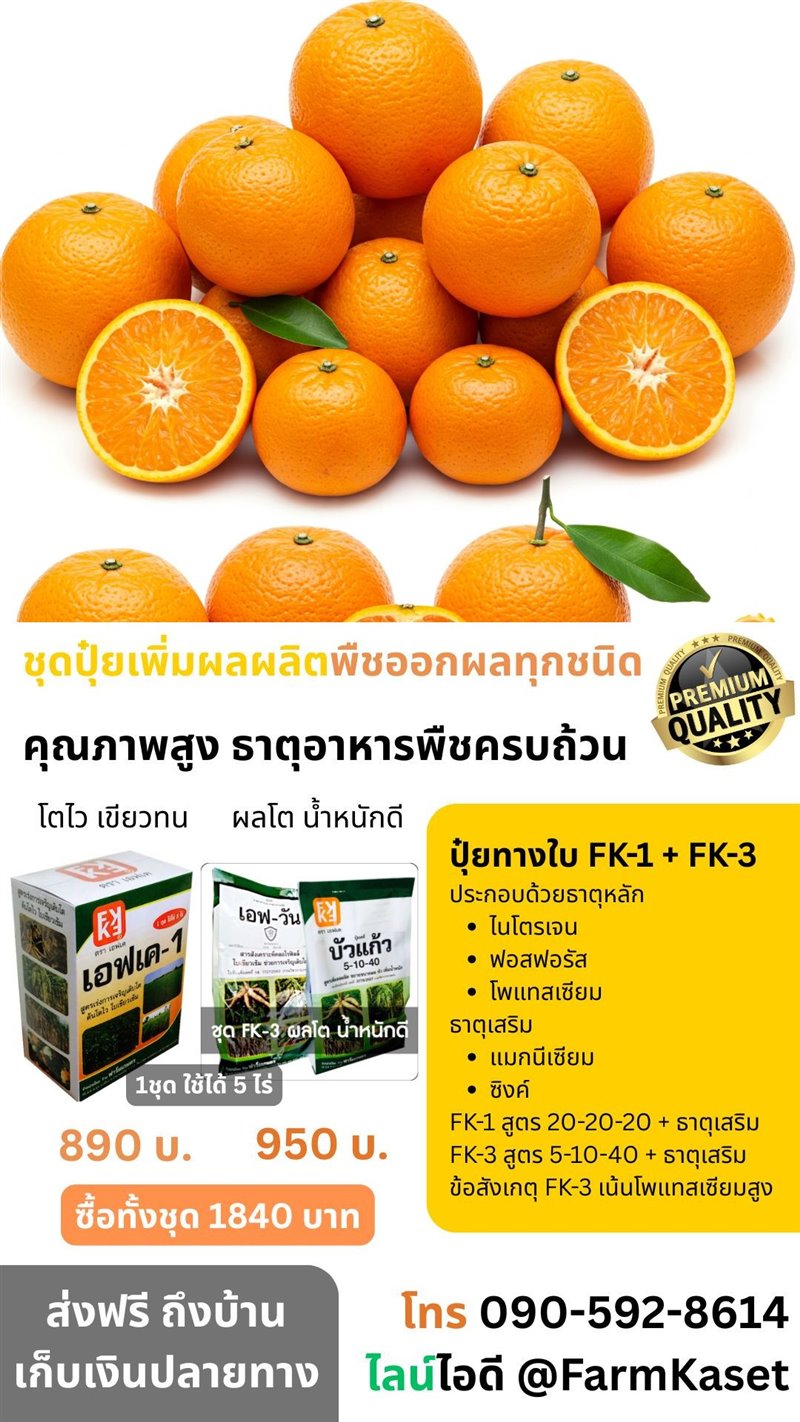 รูปภาพประกอบ