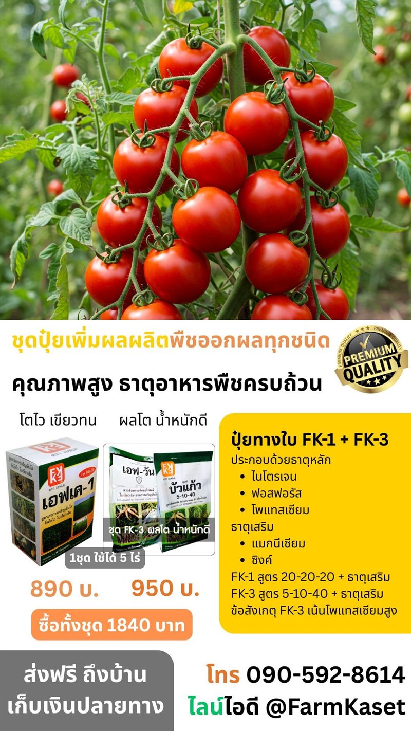 รูปภาพประกอบ