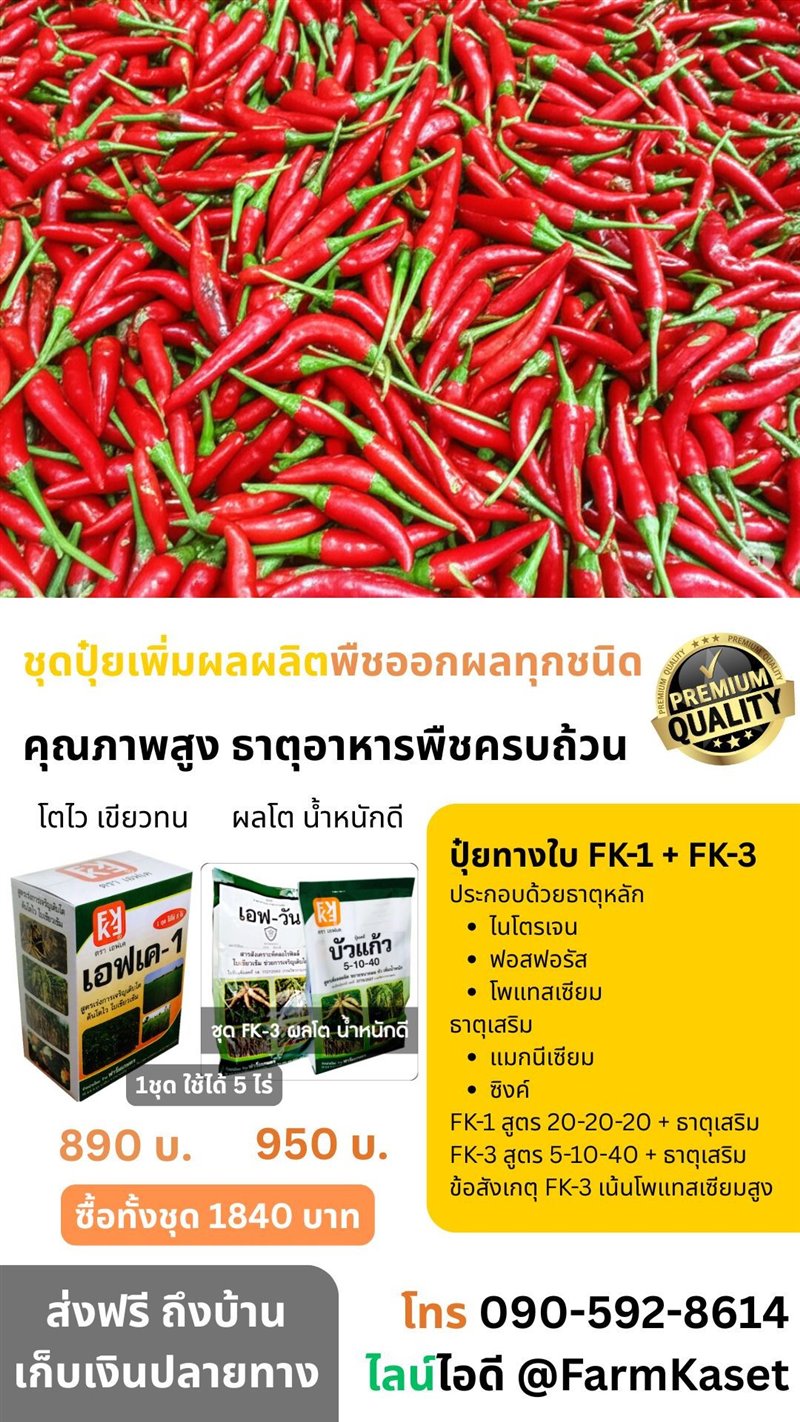 รูปภาพประกอบ
