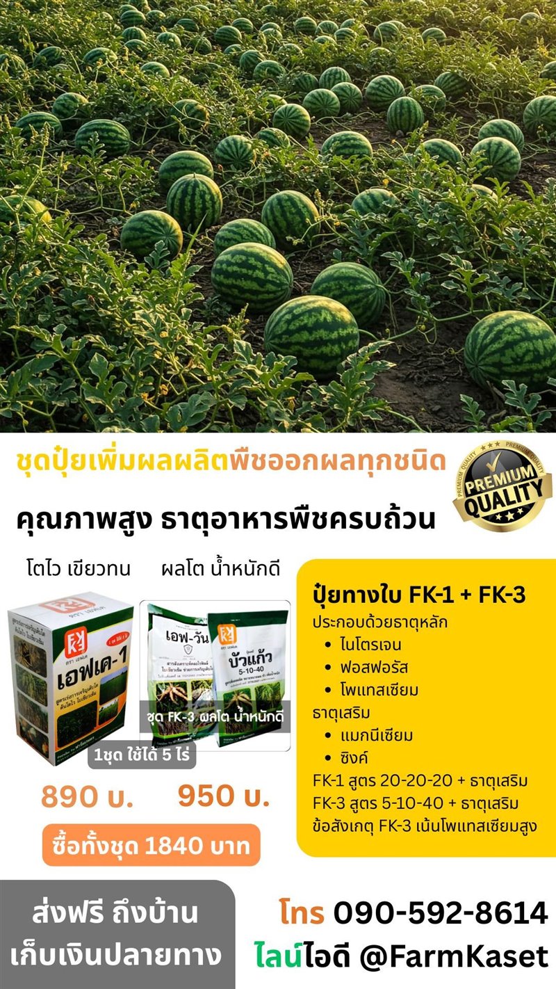 รูปภาพประกอบ