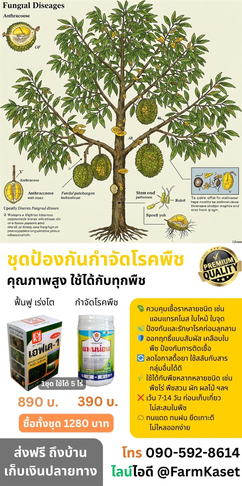 รูปภาพประกอบ