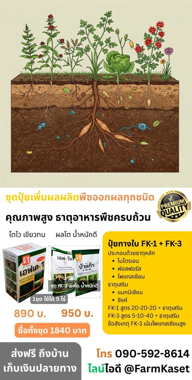 รูปภาพประกอบ