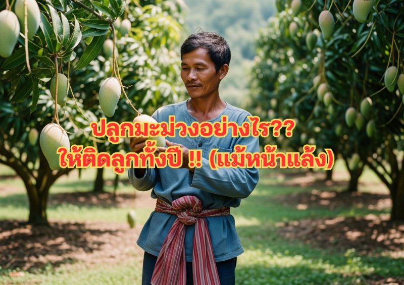 รูปภาพประกอบ
