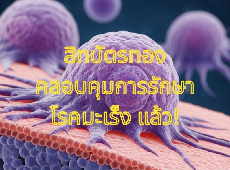 รูปภาพประกอบ