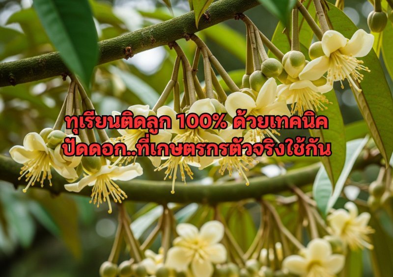 รูปภาพประกอบ