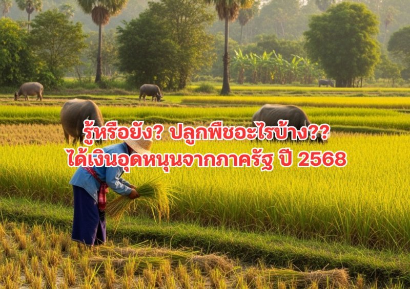 รูปภาพประกอบ