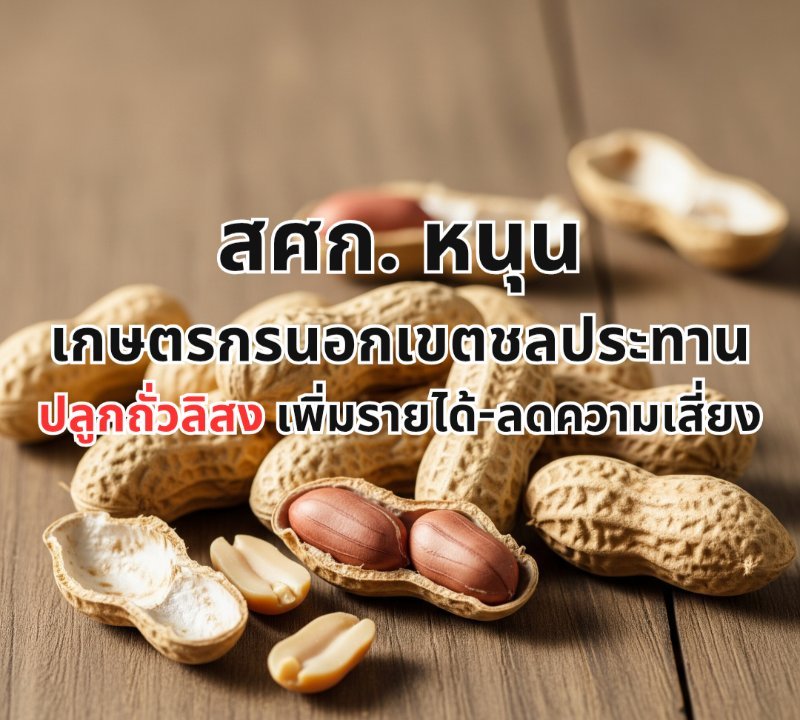 รูปภาพประกอบ