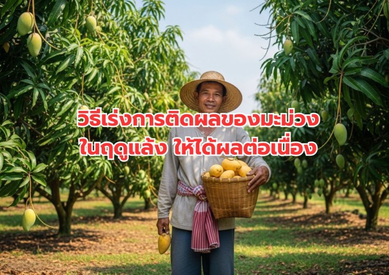 บทความ