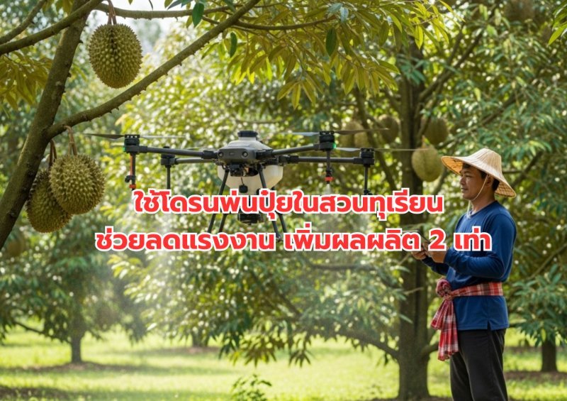 บทความ