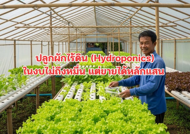 บทความ