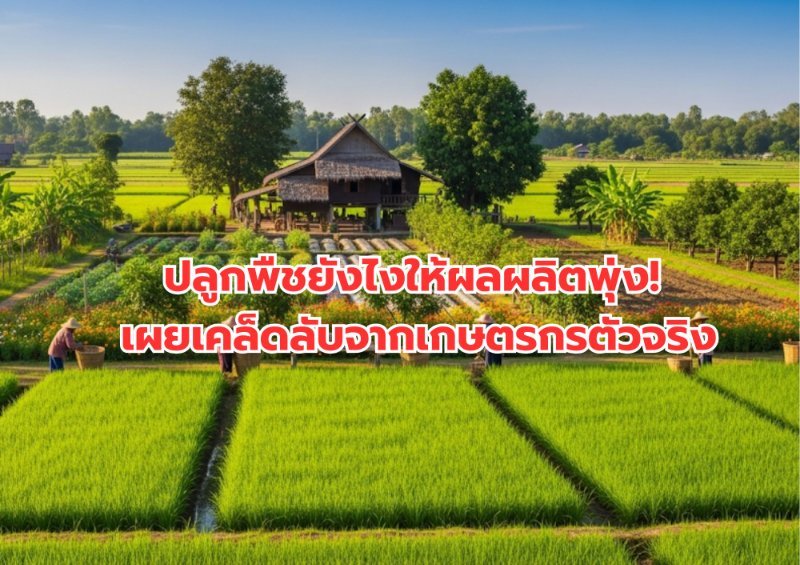 รูปภาพประกอบ