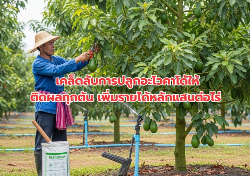 รูปภาพประกอบ