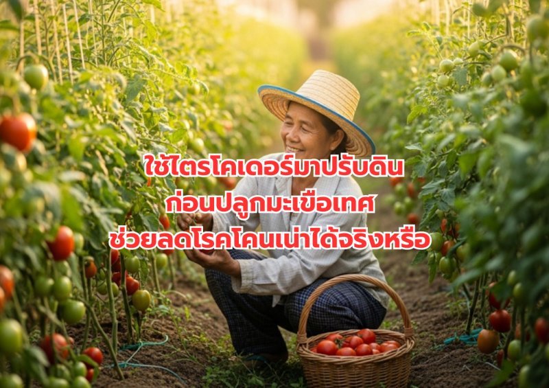 รูปภาพประกอบ