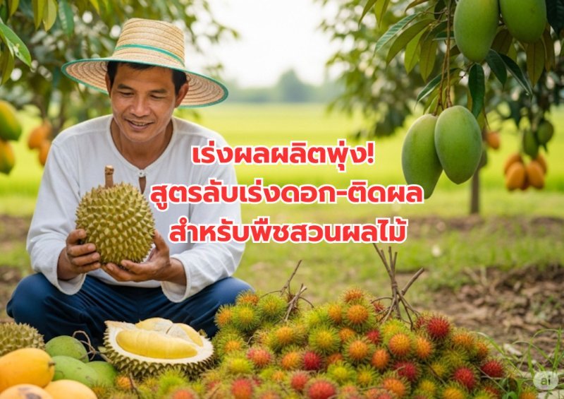 บทความ