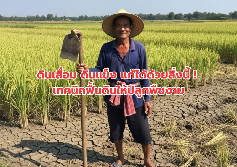 รูปภาพประกอบ