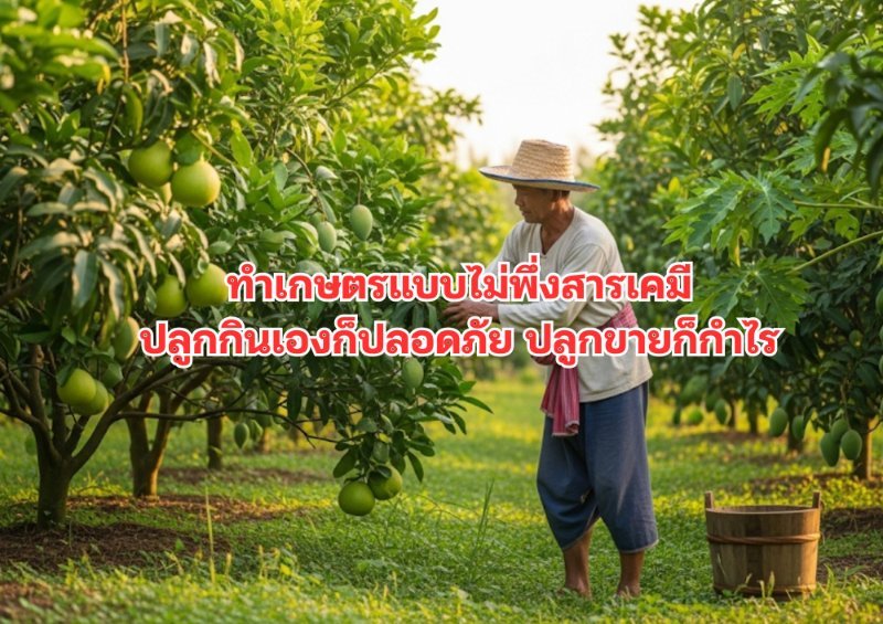 รูปภาพประกอบ