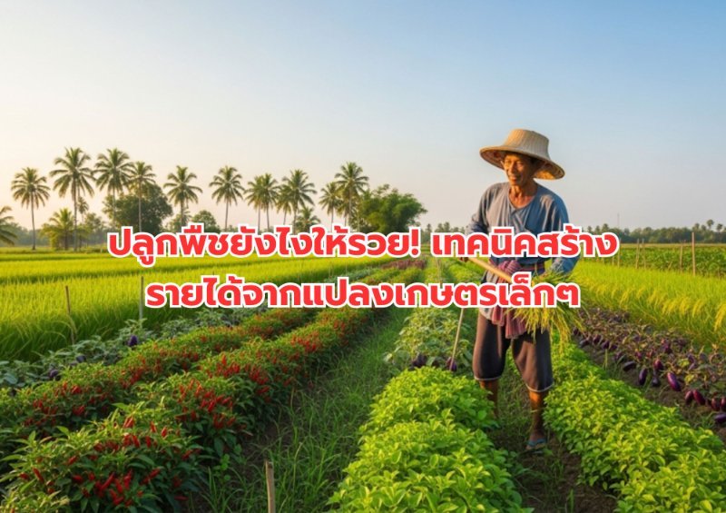 รูปภาพประกอบ