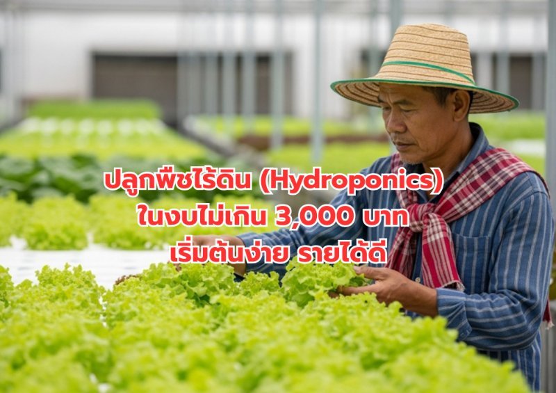 รูปภาพประกอบ