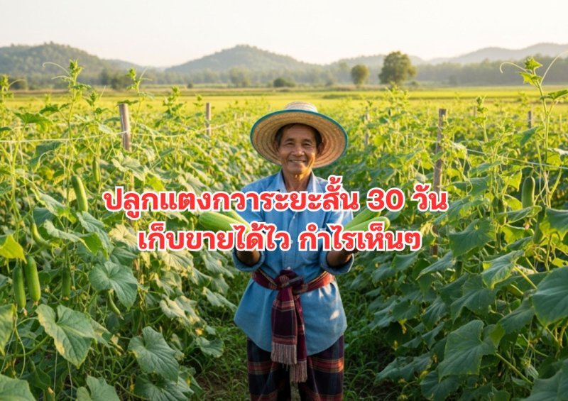 รูปภาพประกอบ
