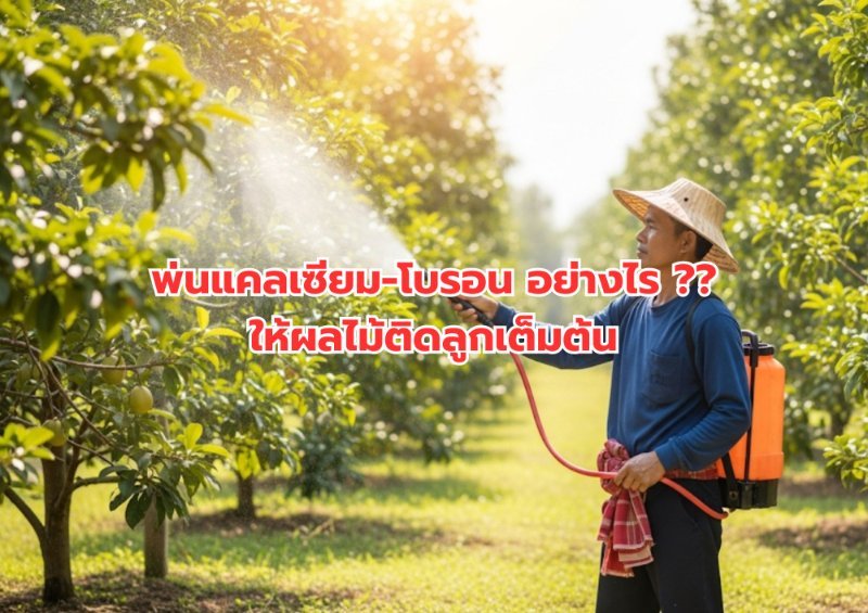 บทความ