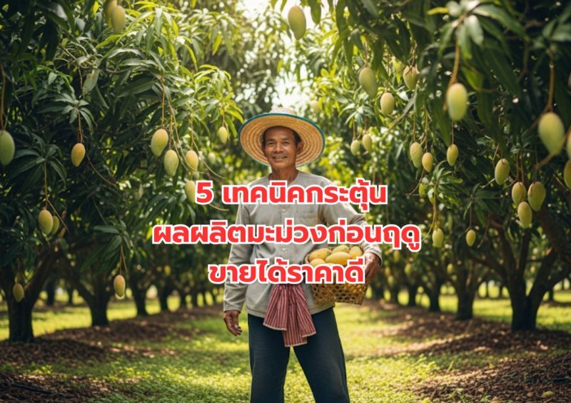 รูปภาพประกอบ