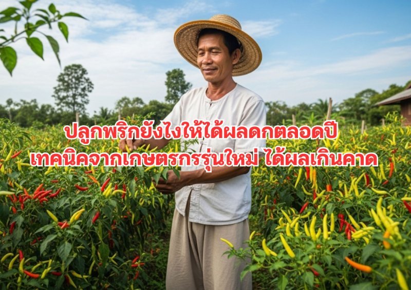 บทความ