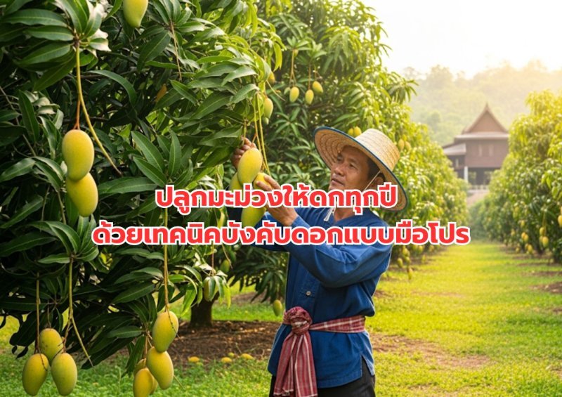รูปภาพประกอบ