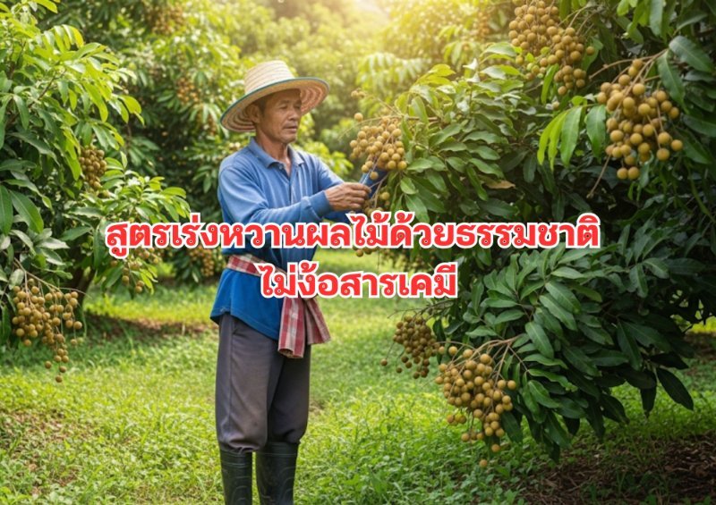 รูปภาพประกอบ