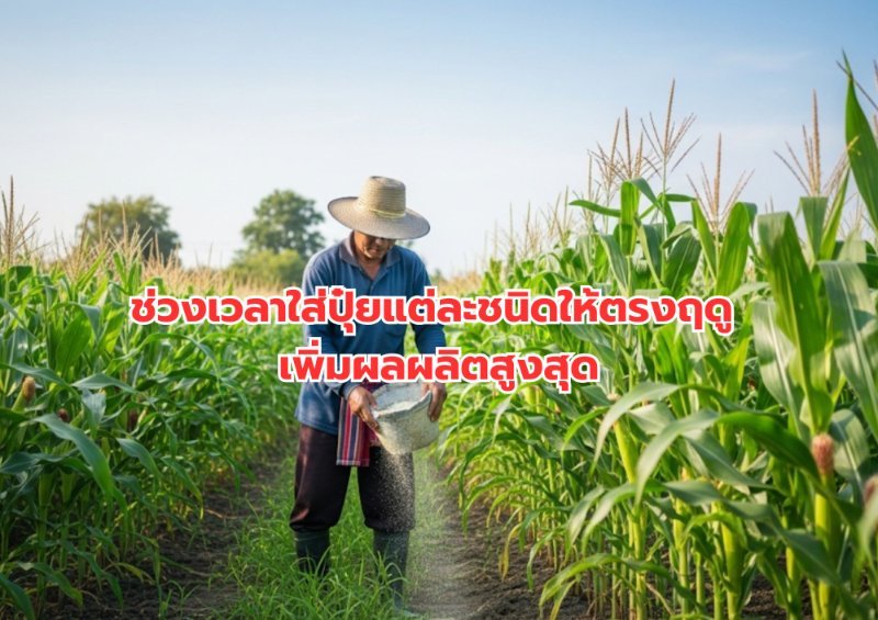 รูปภาพประกอบ