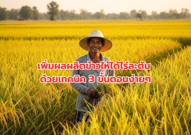 รูปภาพประกอบ